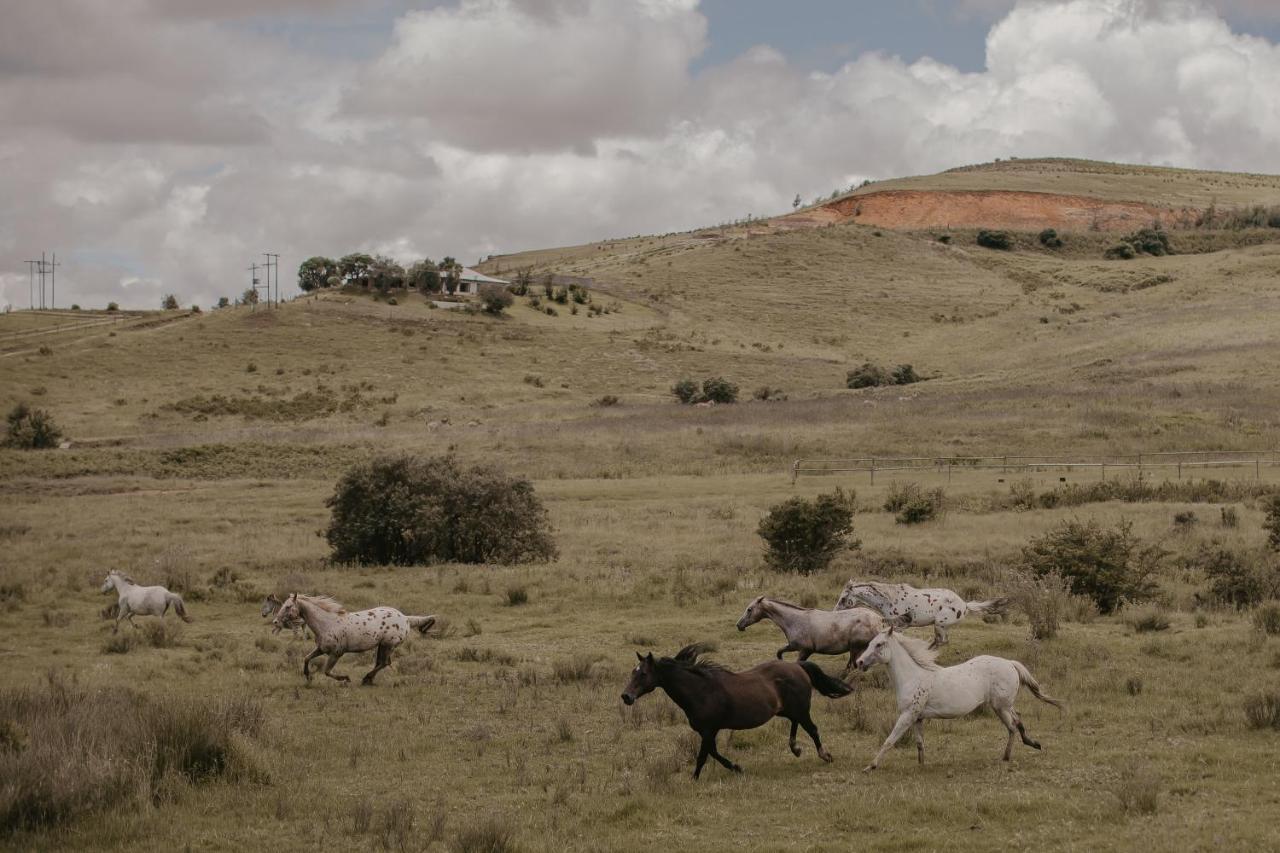 Qambathi Mountain Lodge Rev Estates Buitenkant foto